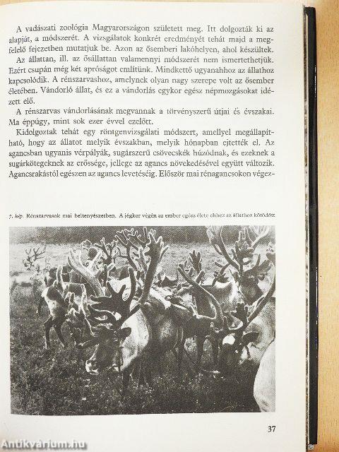 Az ősember Magyarországon