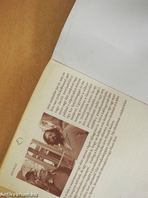 Golyók és húsgolyók