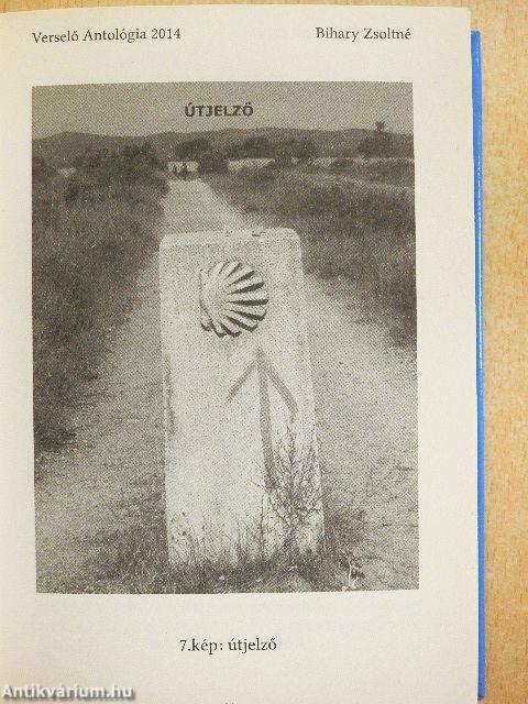 Verselő Antológia 2014