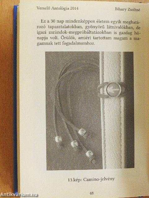 Verselő Antológia 2014