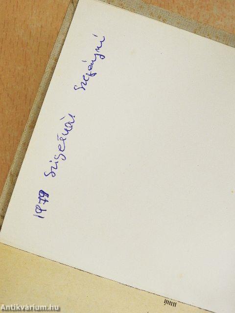 Magyar-szerbhorvát szótár