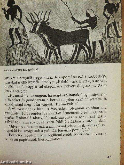 Az ókor művészete