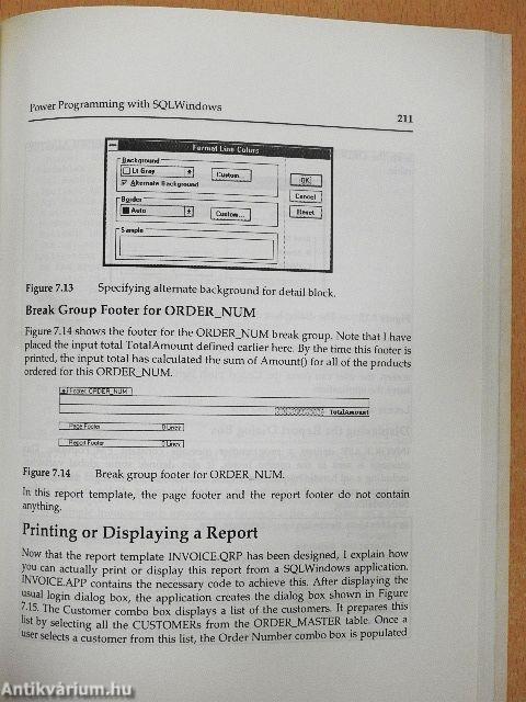 Power Programming with SQLWindows