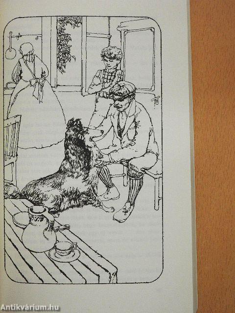 Lassie hazatér