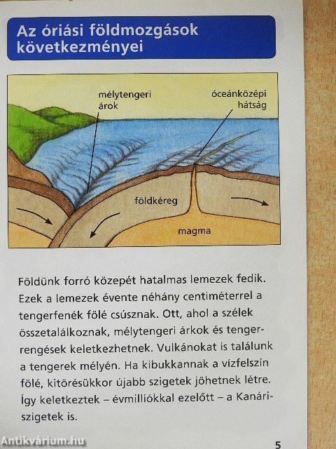 A mélytenger élővilága