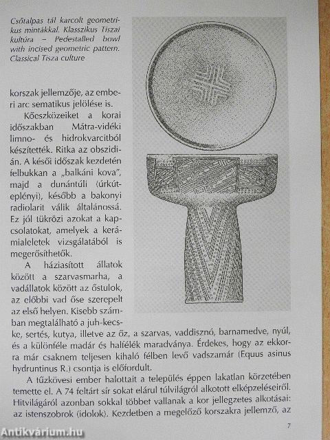 Újkőkori falu Szegvár-Tűzkövesen