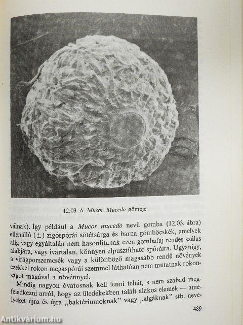 Az élő rendszerek eredete és fejlődése