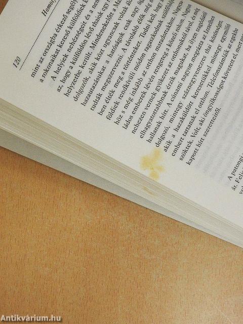 Szökőár testközelből