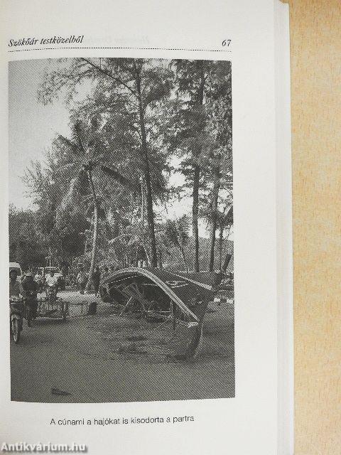 Szökőár testközelből