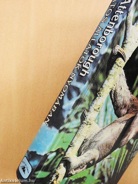 Titokzatos állatok nyomában