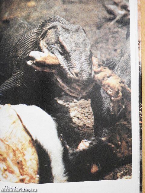 Titokzatos állatok nyomában