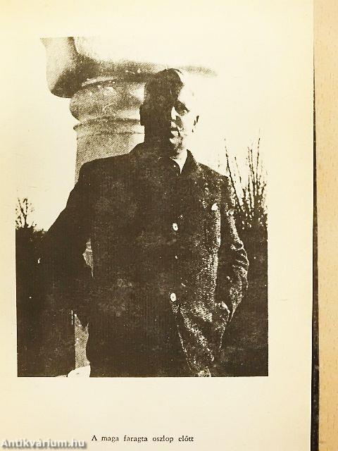 Kivégzés karácsonykor