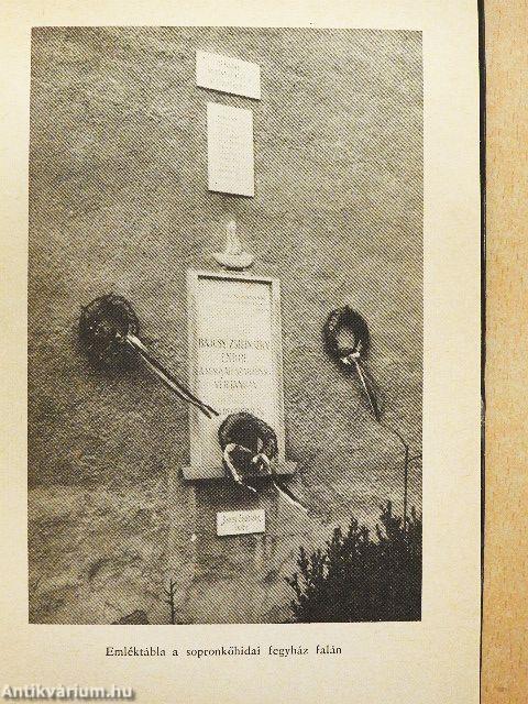 Kivégzés karácsonykor