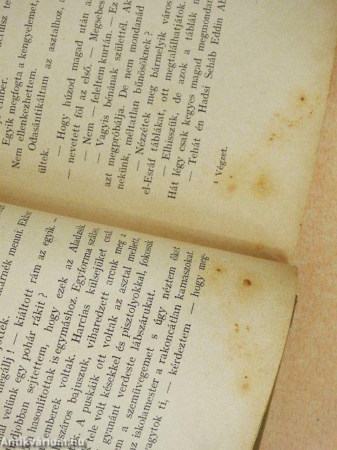 A szkipetárok földjén