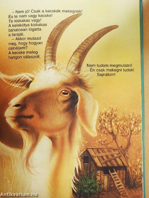 A kelekótya kiskakas
