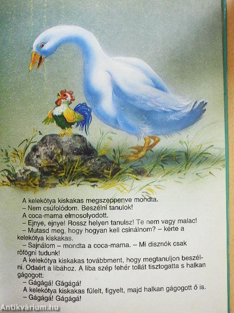 A kelekótya kiskakas