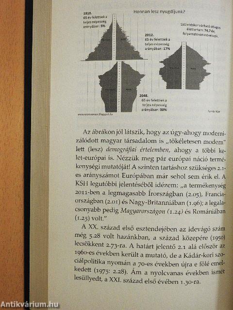 Ne bántsd a cigányt!