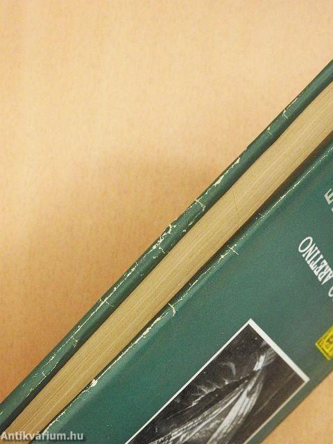 Pietro Aretino válogatott írásai