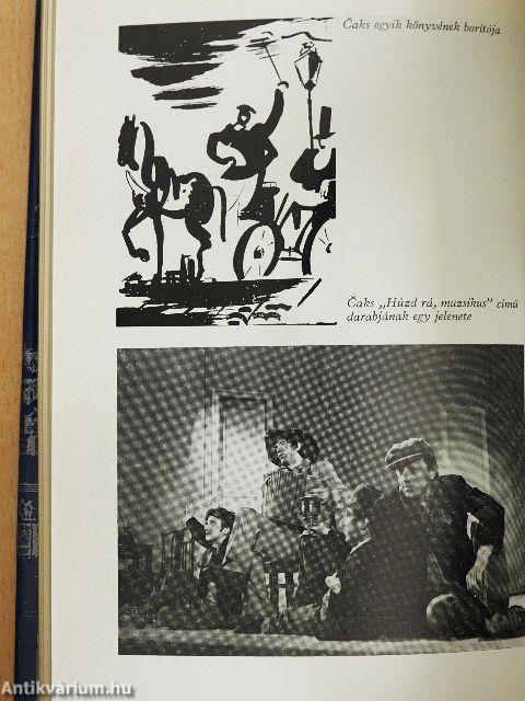 A lett irodalom kistükre