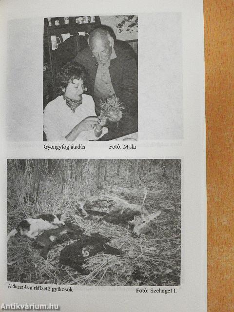 Egy lövéssel kettő...