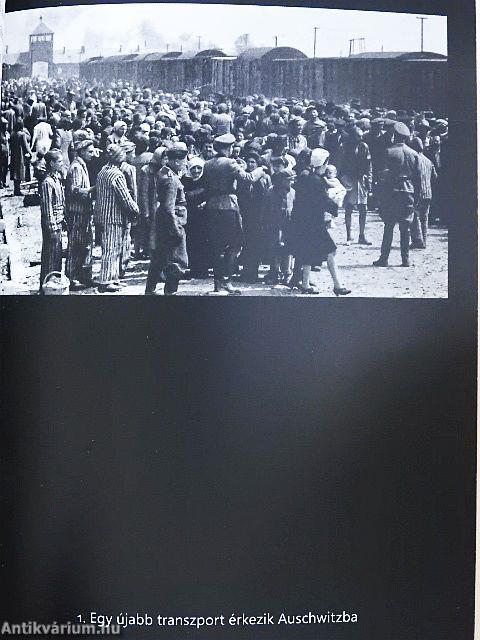 Az auschwitzi könyvelő