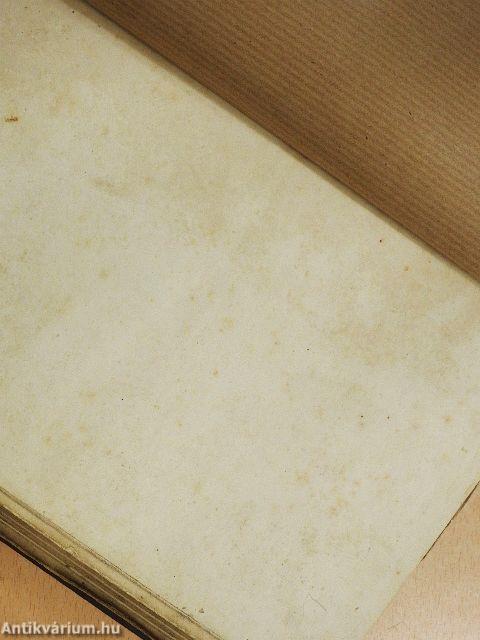 Magyarország függetlenségi harczának története III. (töredék)