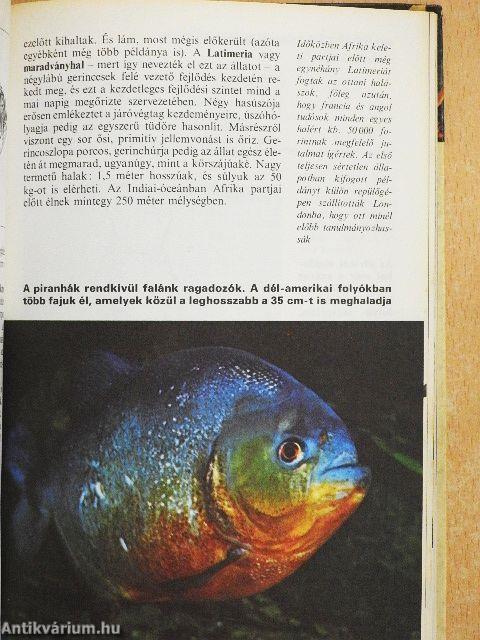 Az állatvilág titkai