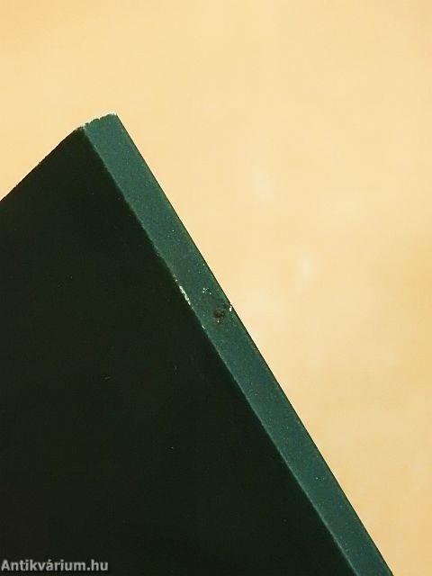 Magyar-angol igevonzatok szótára