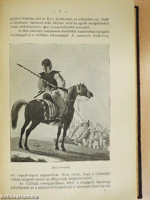 Csongrádvármegye története I-III.