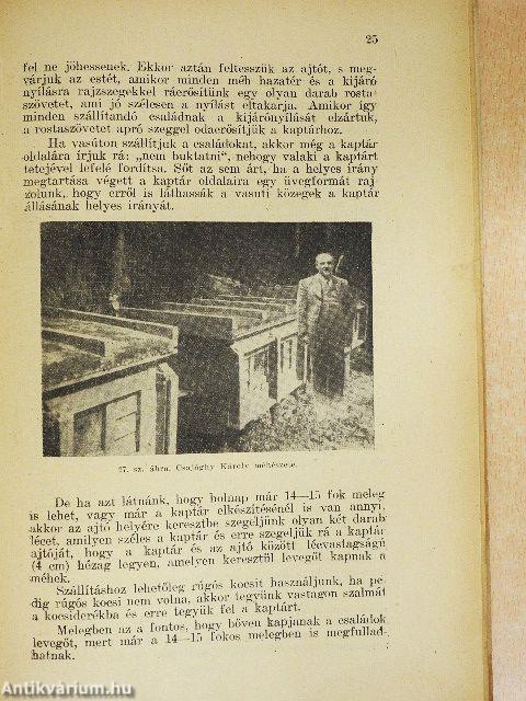 Hogyan méhészkedjünk?