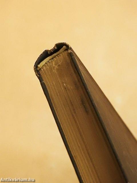 A kiválasztott/A törvény