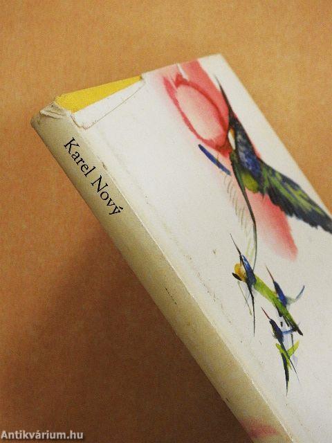 Jégmadarak a Kék-öbölben