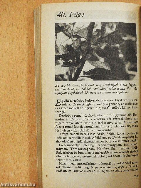 Minden héten szüret