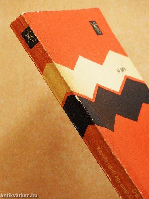 Képzelt riport egy amerikai pop-fesztiválról