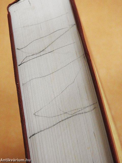 Általános és magyar névtan