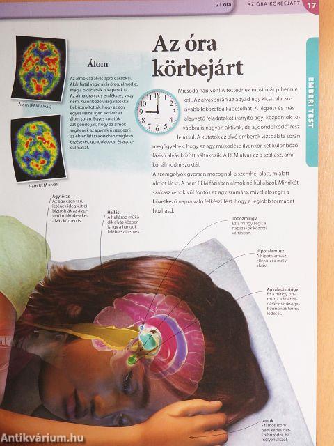 Tudorka Magazin 128.