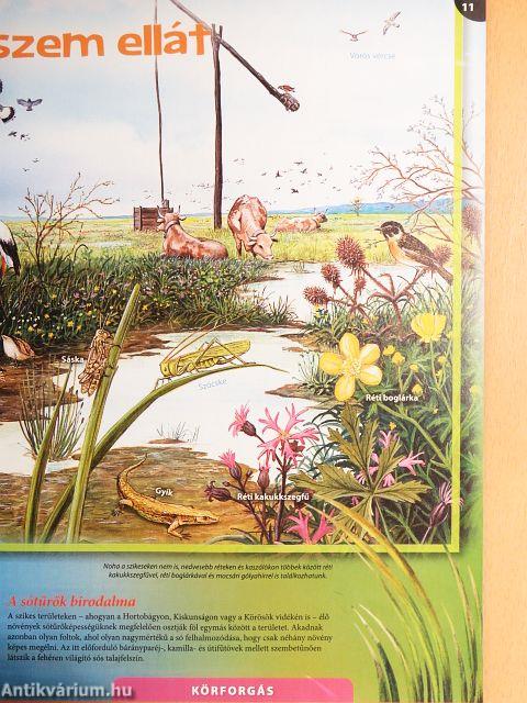 Tudorka Magazin 129.