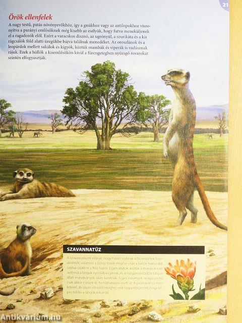 Tudorka Magazin 127.