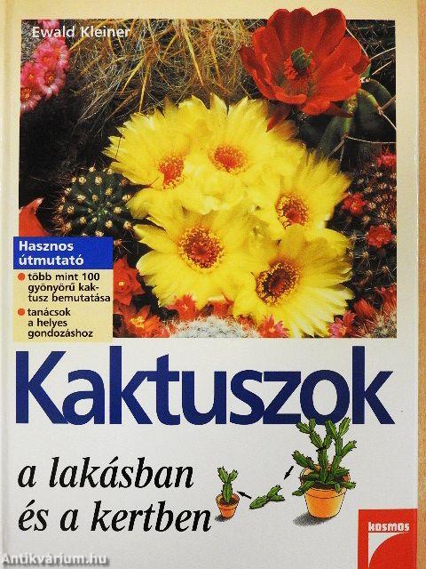 Kaktuszok a lakásban és a kertben