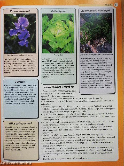 Növényszaporítás