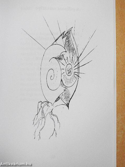 A szerelem utcasarkain