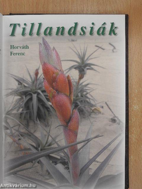 Debreceni pozsgástár 2007. 1-4./MKOE Kiadványok 2007./Tillandsiák