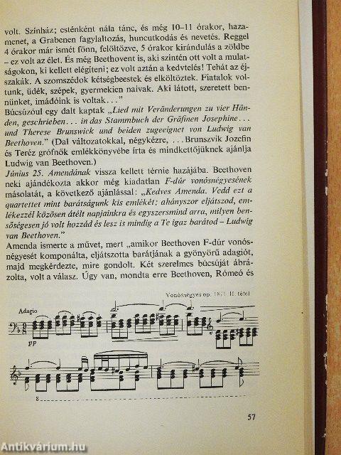 Ludwig van Beethoven életének krónikája