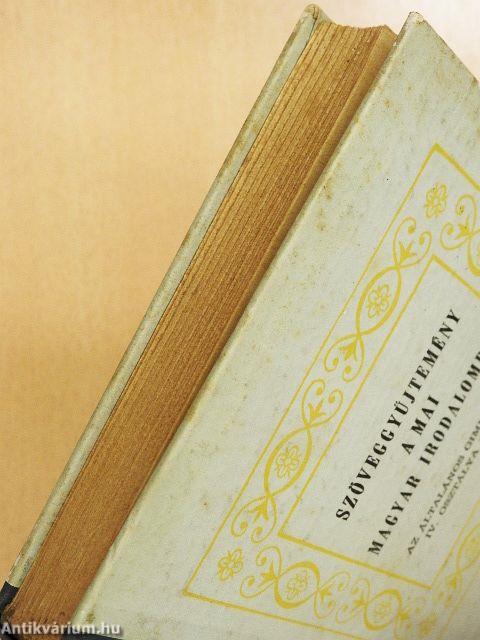 Szöveggyűjtemény a mai magyar irodalomból