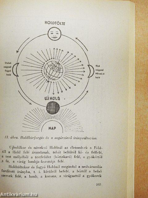 Titokzatos erők - Csodás esetek