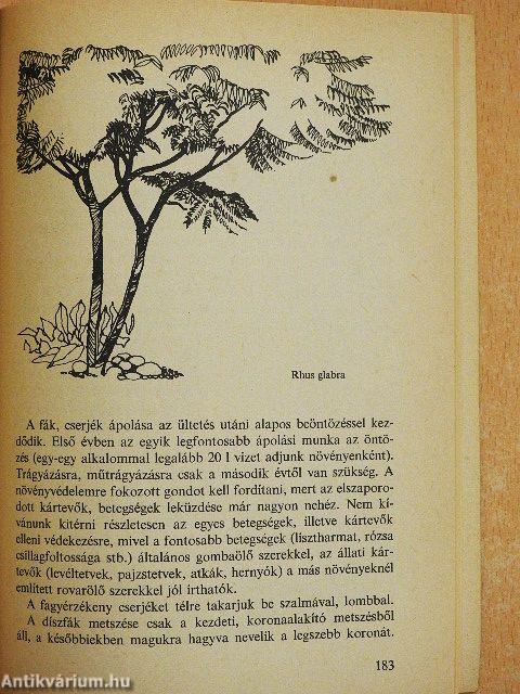 Nagy öröm a kiskert!