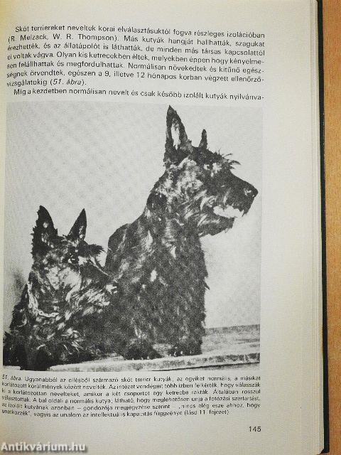 A pszichológia alapkérdései