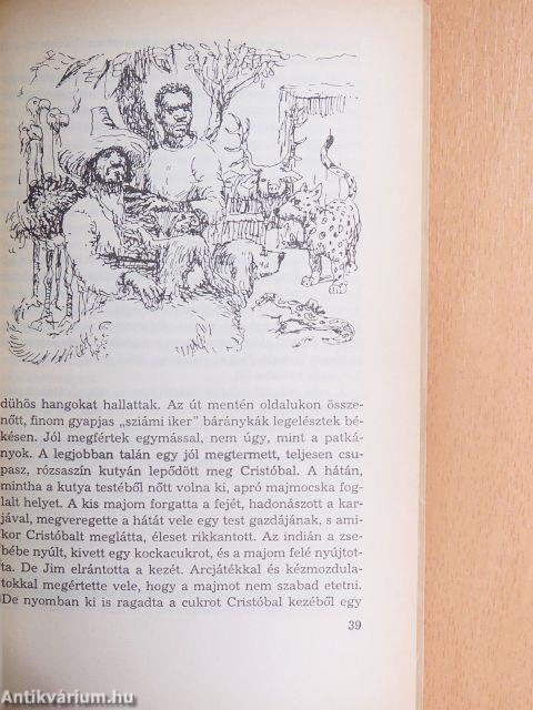 "45 kötet a Delfin könyvek sorozatból (nem teljes sorozat)"