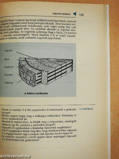 Környezettani vizsgálatok