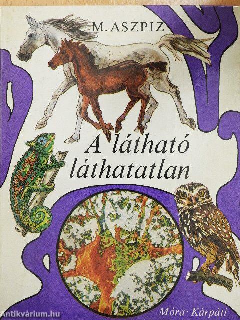 A látható láthatatlan